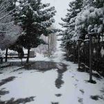 تهران و برف